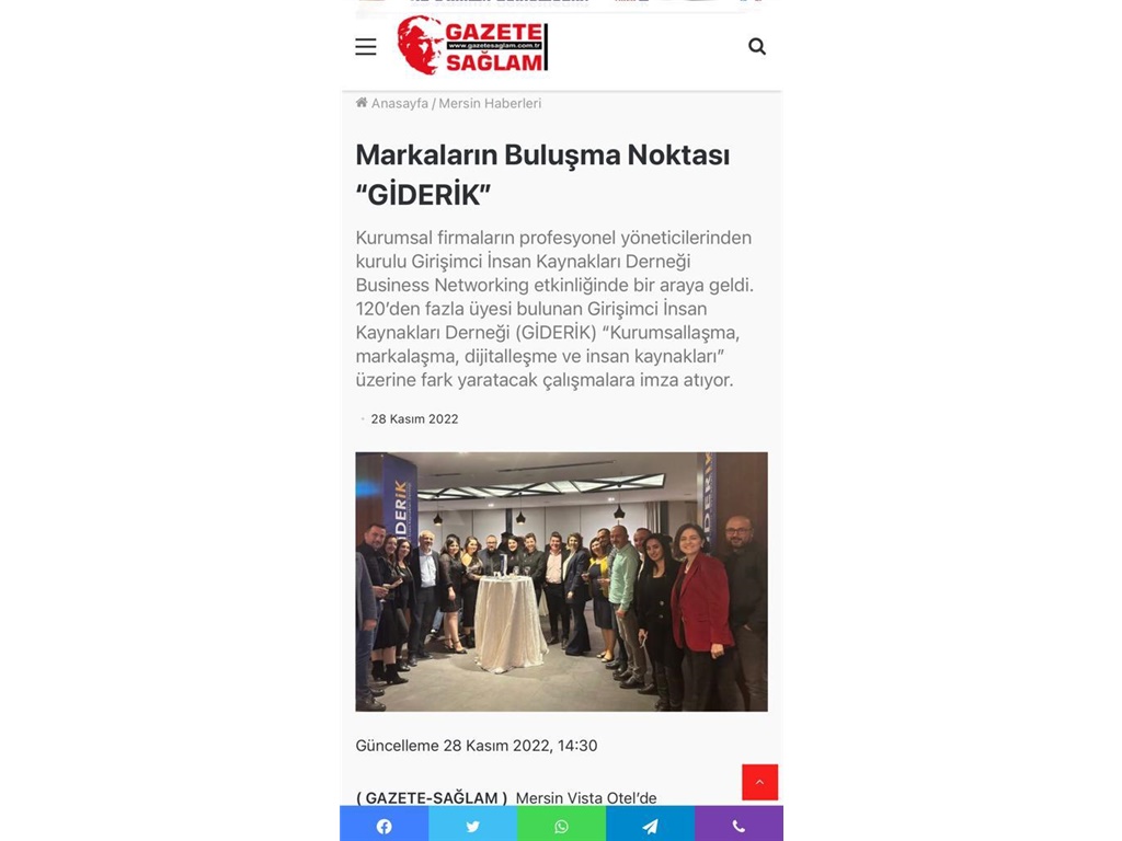 Business Networking-Sağlam gazete